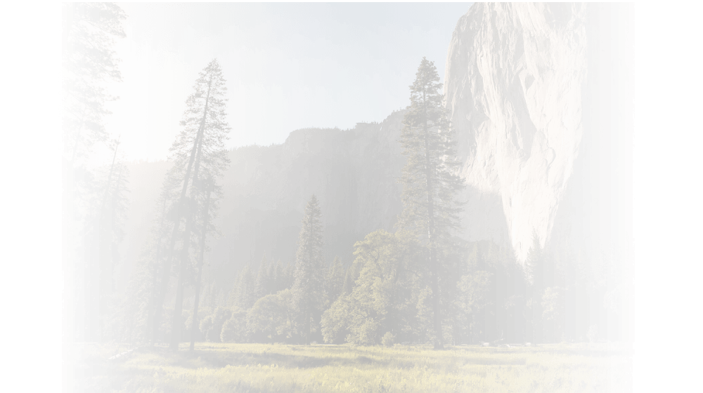 Forest and mountains for Pro C9500